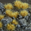 Grass tufts Dry Wild
