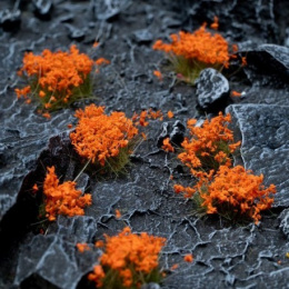 Tufts Orange Flowers Wild