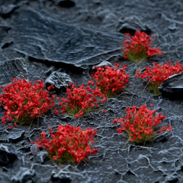 Tufts Red Flowers Wild